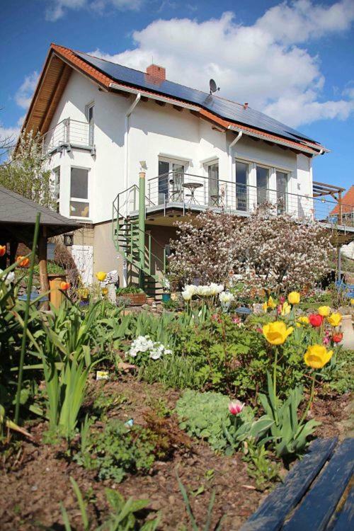 Ferienwohnung Dr. Vera Schmidt Kreischa Esterno foto